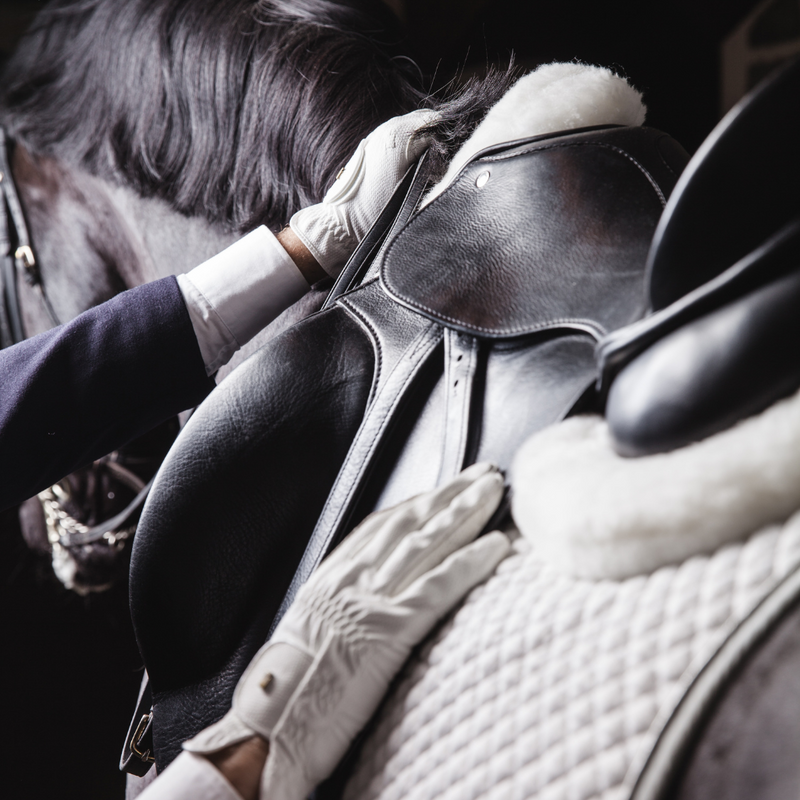 SADDLES & ACCESSORIES