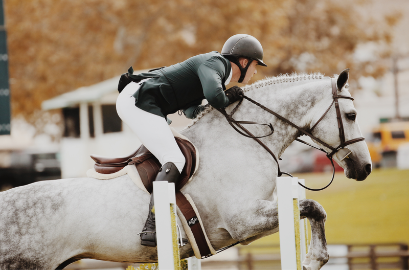 MEN'S APPAREL & FOOTWEAR