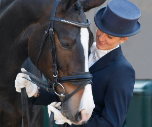 BRIDLES BITS & ACCESSORIES