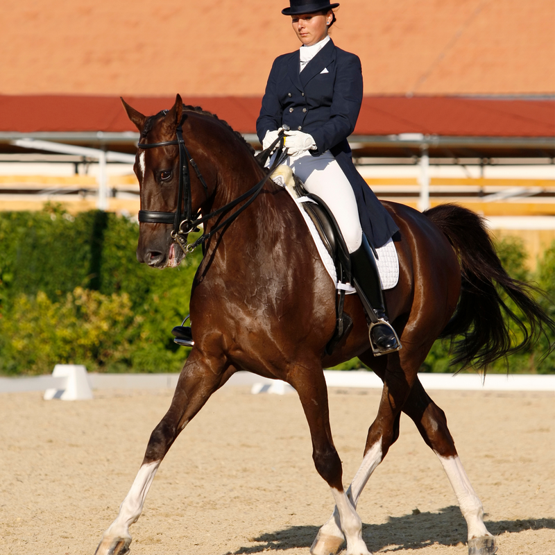 DRESSAGE