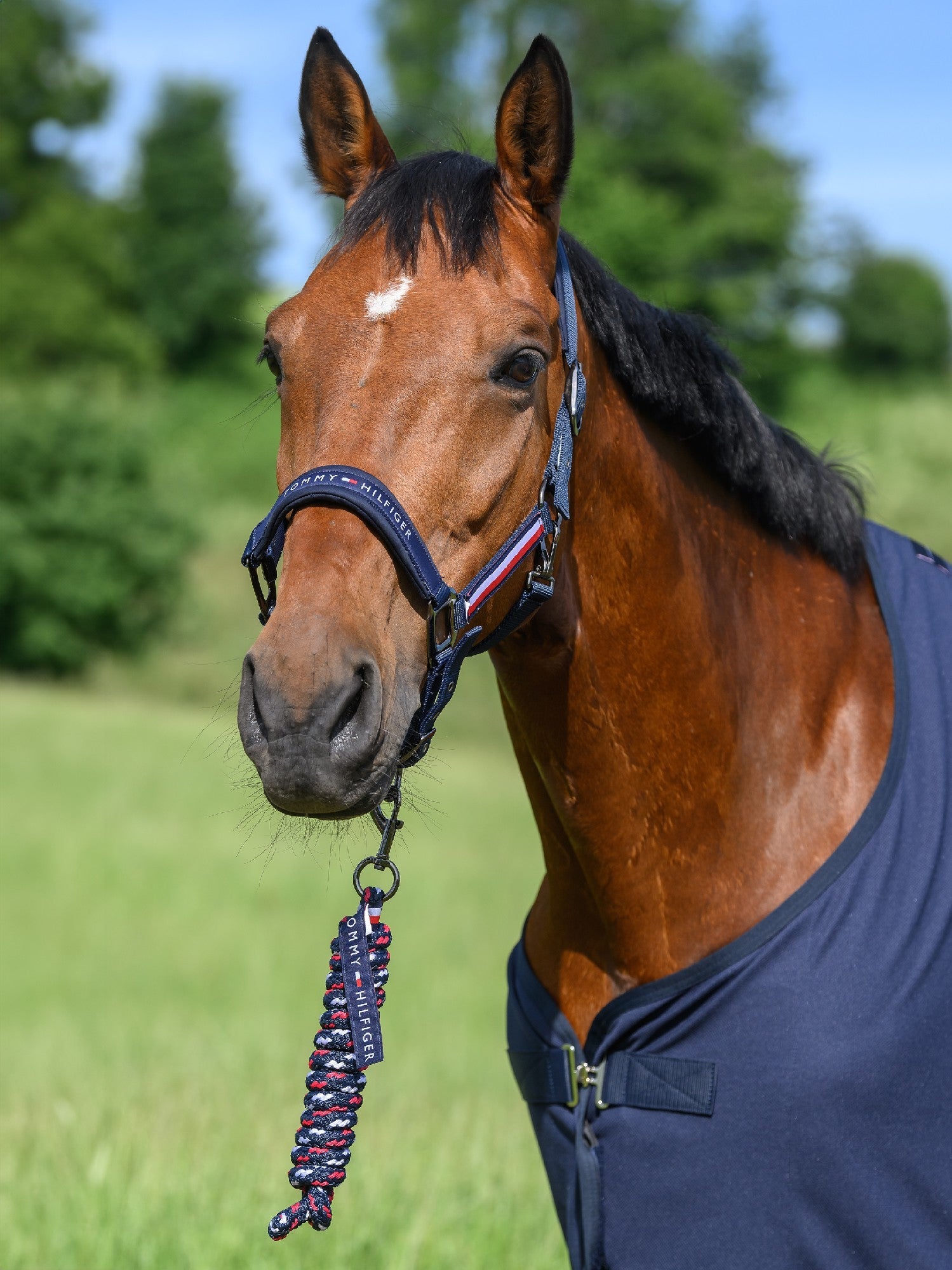 Tommy Hilfiger Lincoln Halter