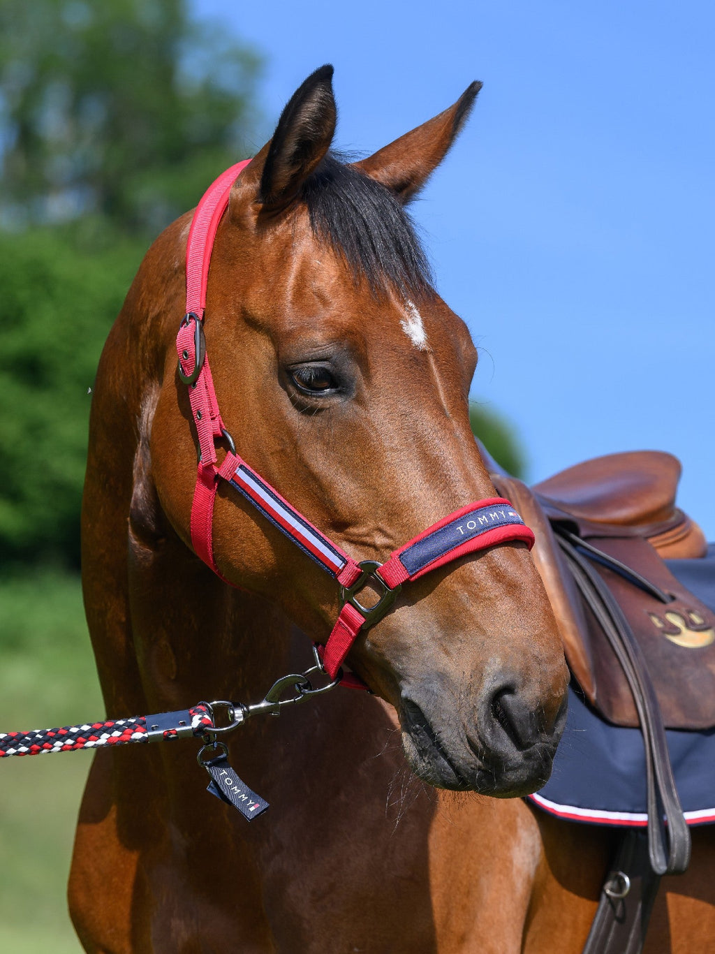 Tommy Hilfiger Lincoln Halter
