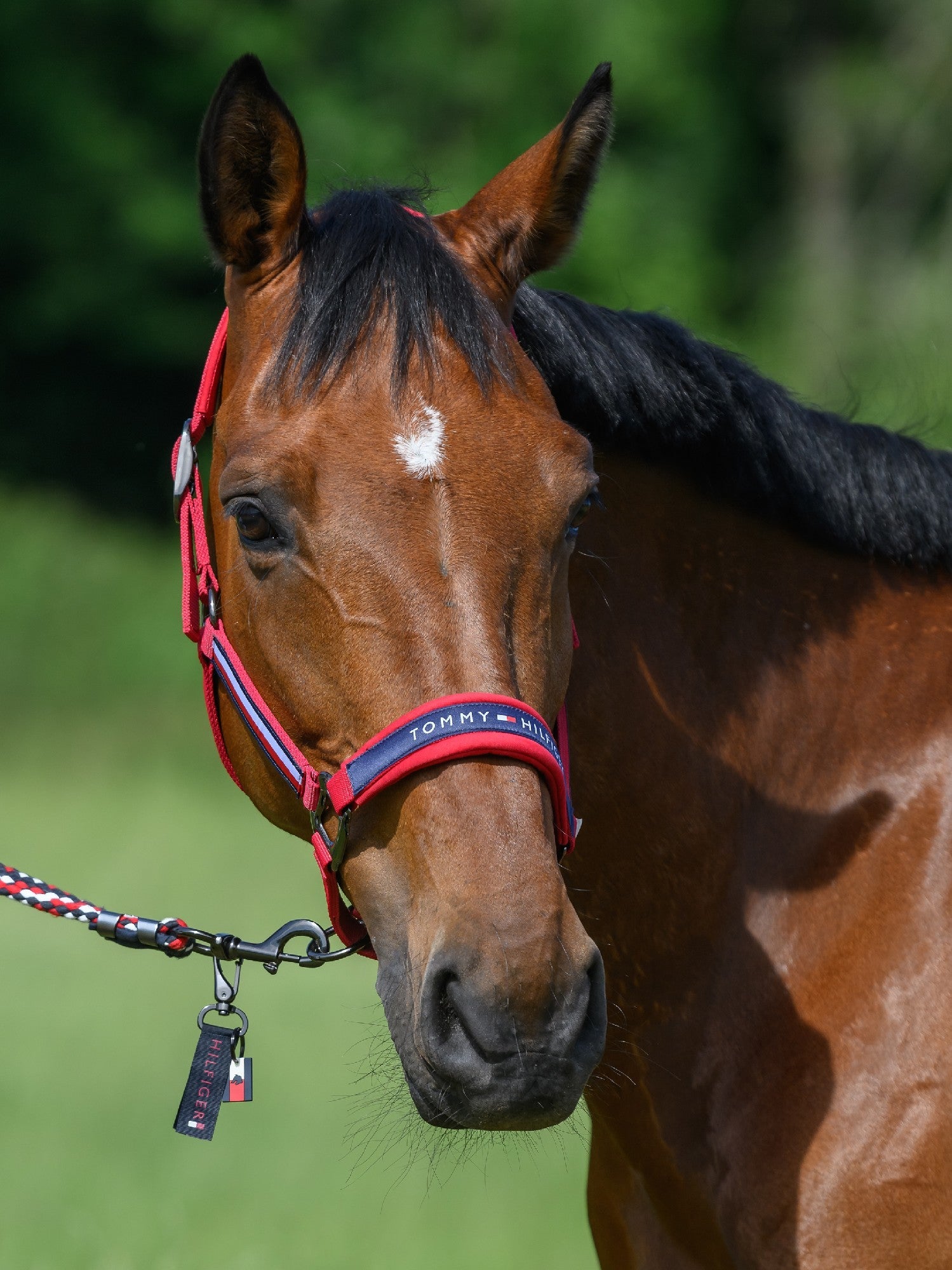 Tommy Hilfiger Lincoln Halter