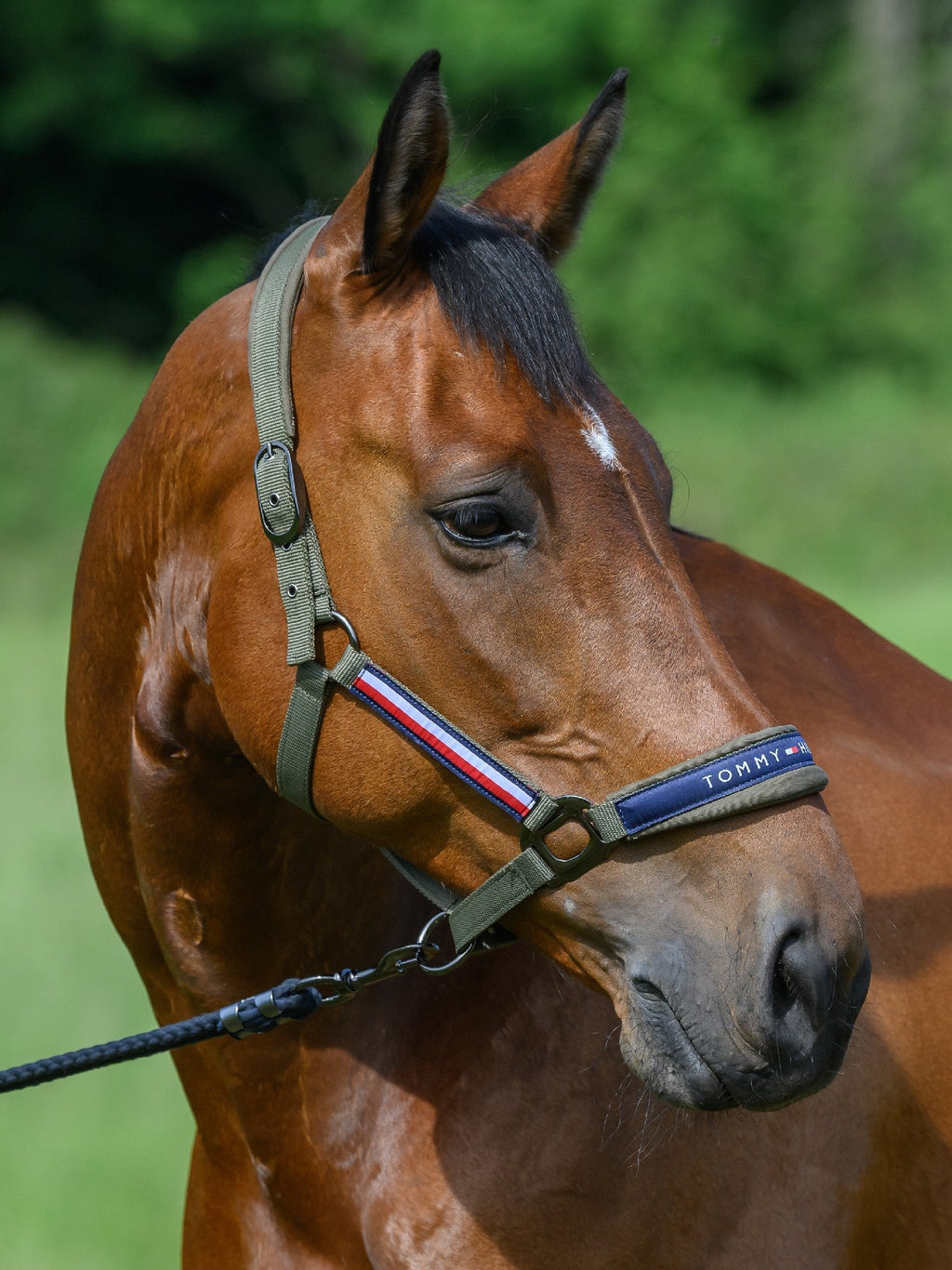 Tommy Hilfiger Lincoln Halter
