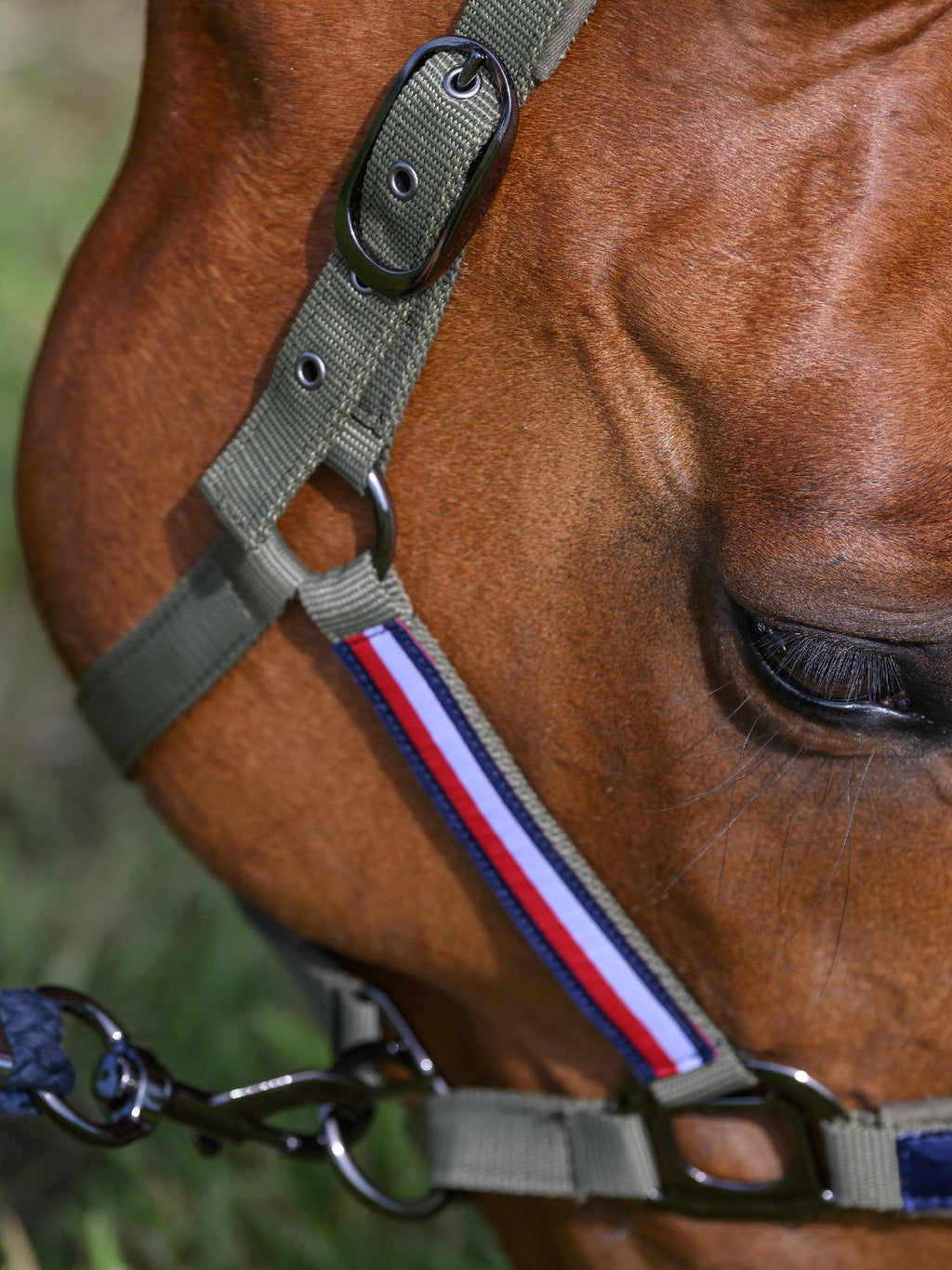 Tommy Hilfiger Lincoln Halter