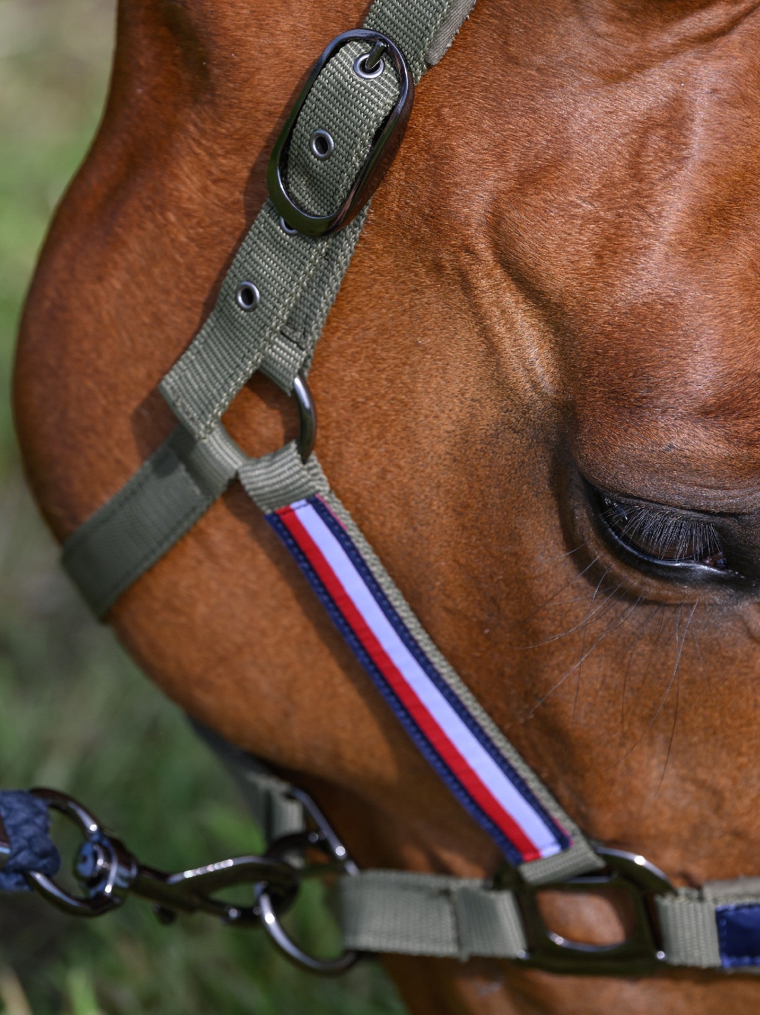 Tommy Hilfiger Lincoln Halter