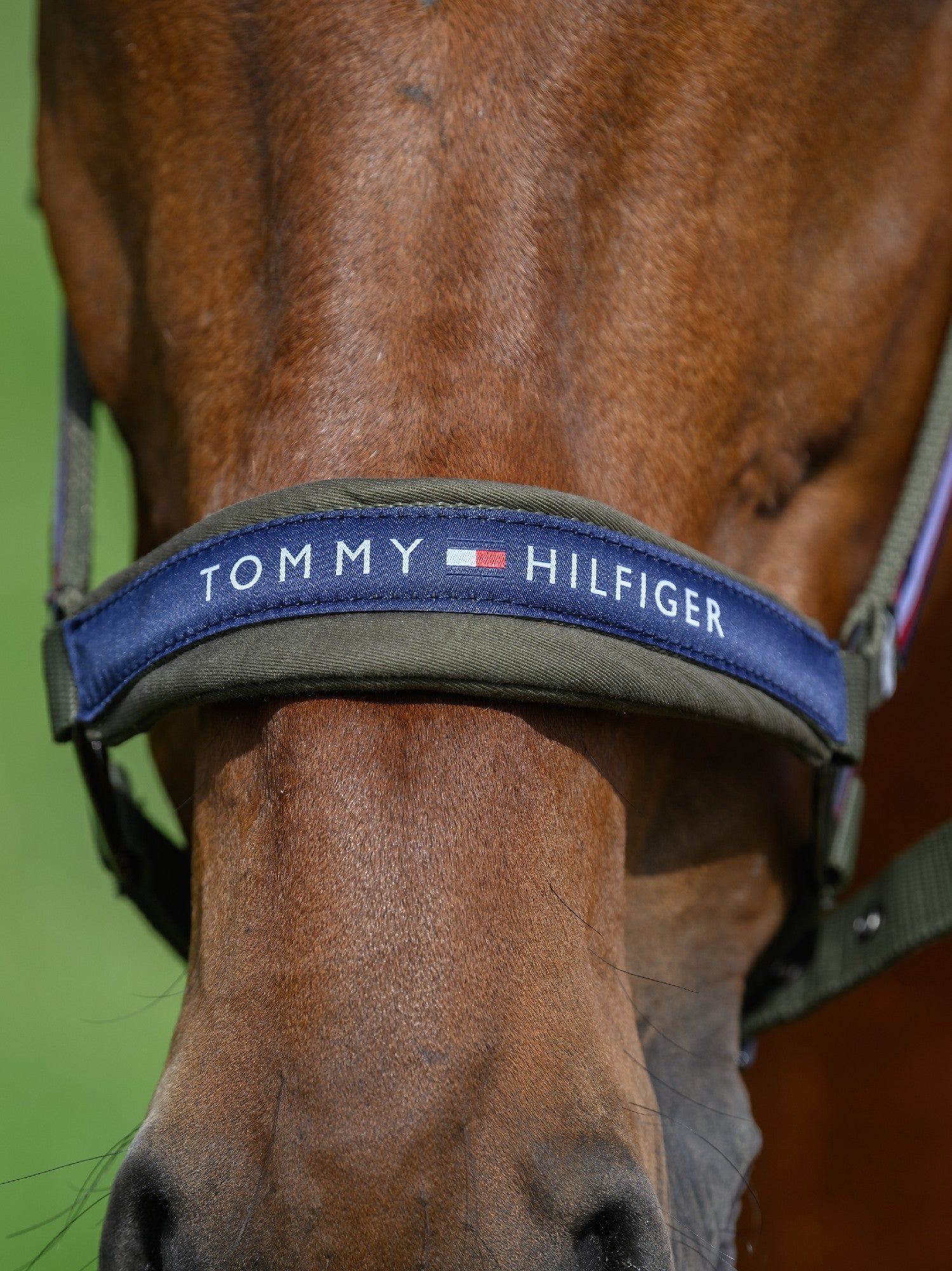 Tommy Hilfiger Lincoln Halter