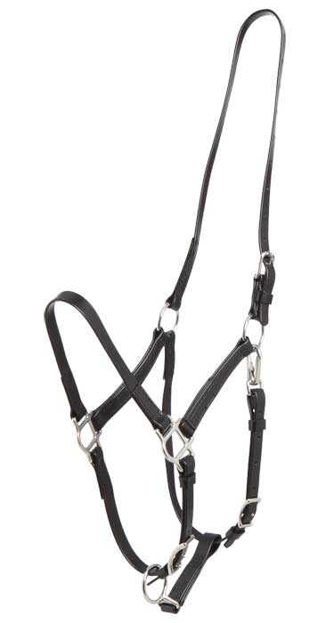 Deluxe Endurance Bridle