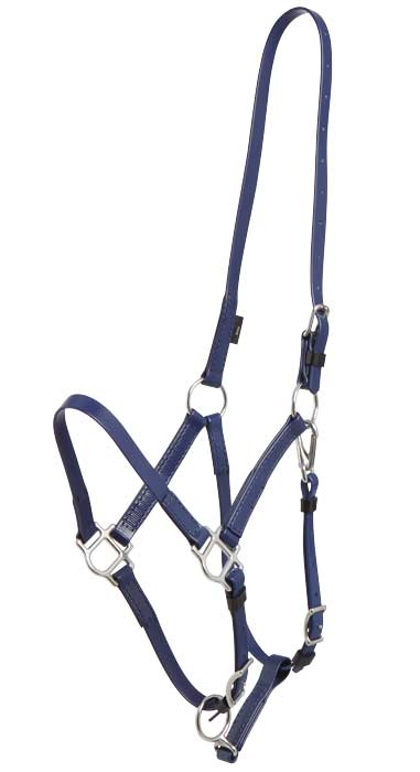 Deluxe Endurance Bridle