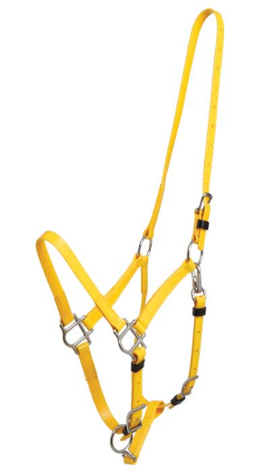 Deluxe Endurance Bridle