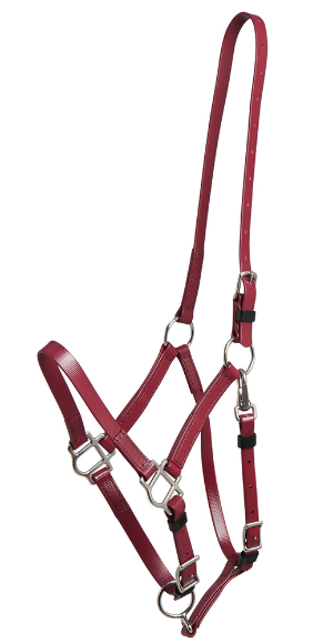 Deluxe Endurance Bridle