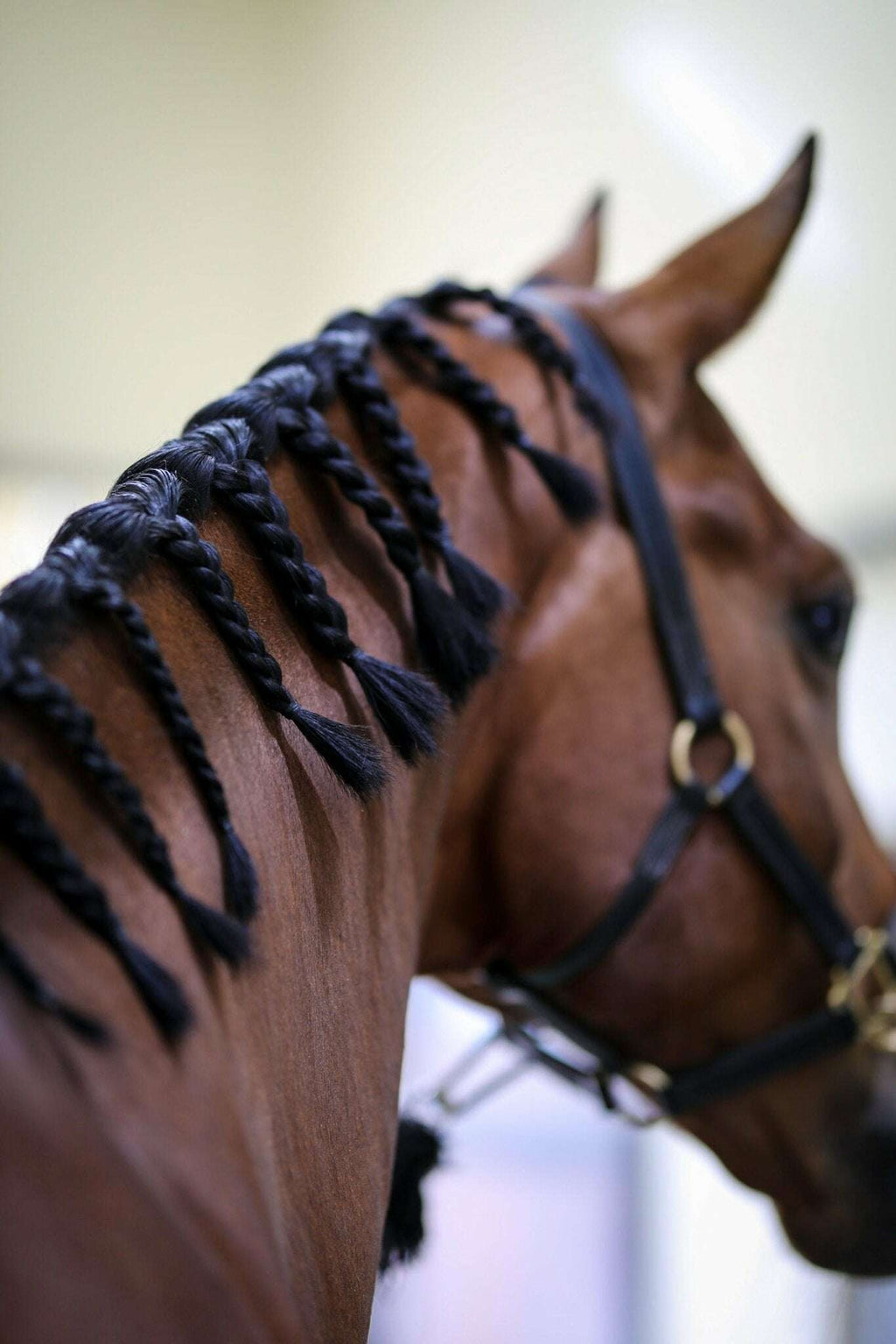 Nags To Riches Sculpting Stick