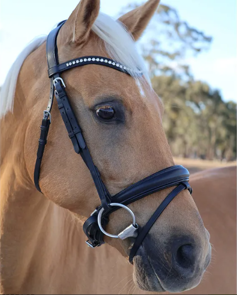 Grainge Dressage Snaffle With Curved Crystal Browband Black Cob