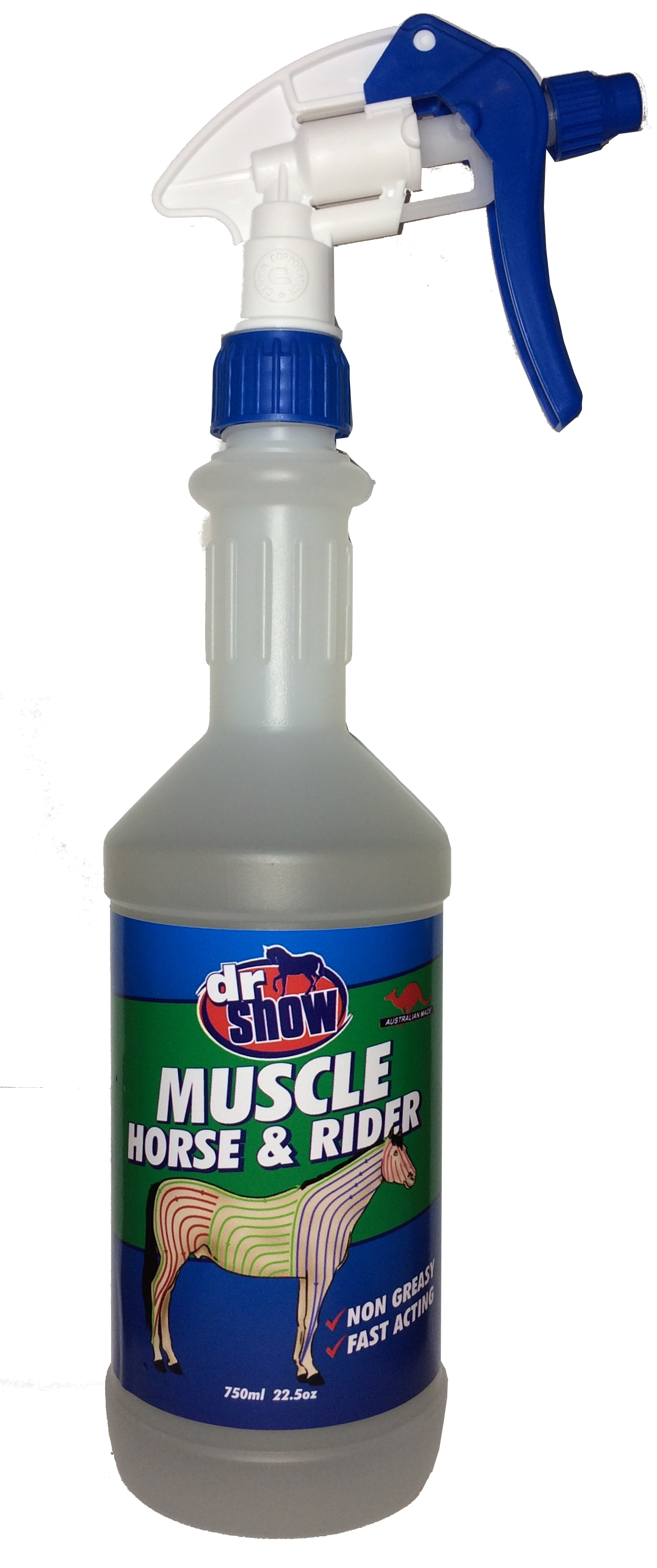 Dr Show Muscle
