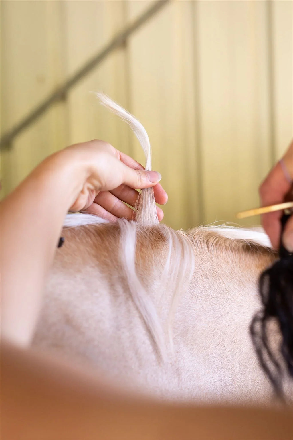 Hairy Pony Fake It Mane and Tail