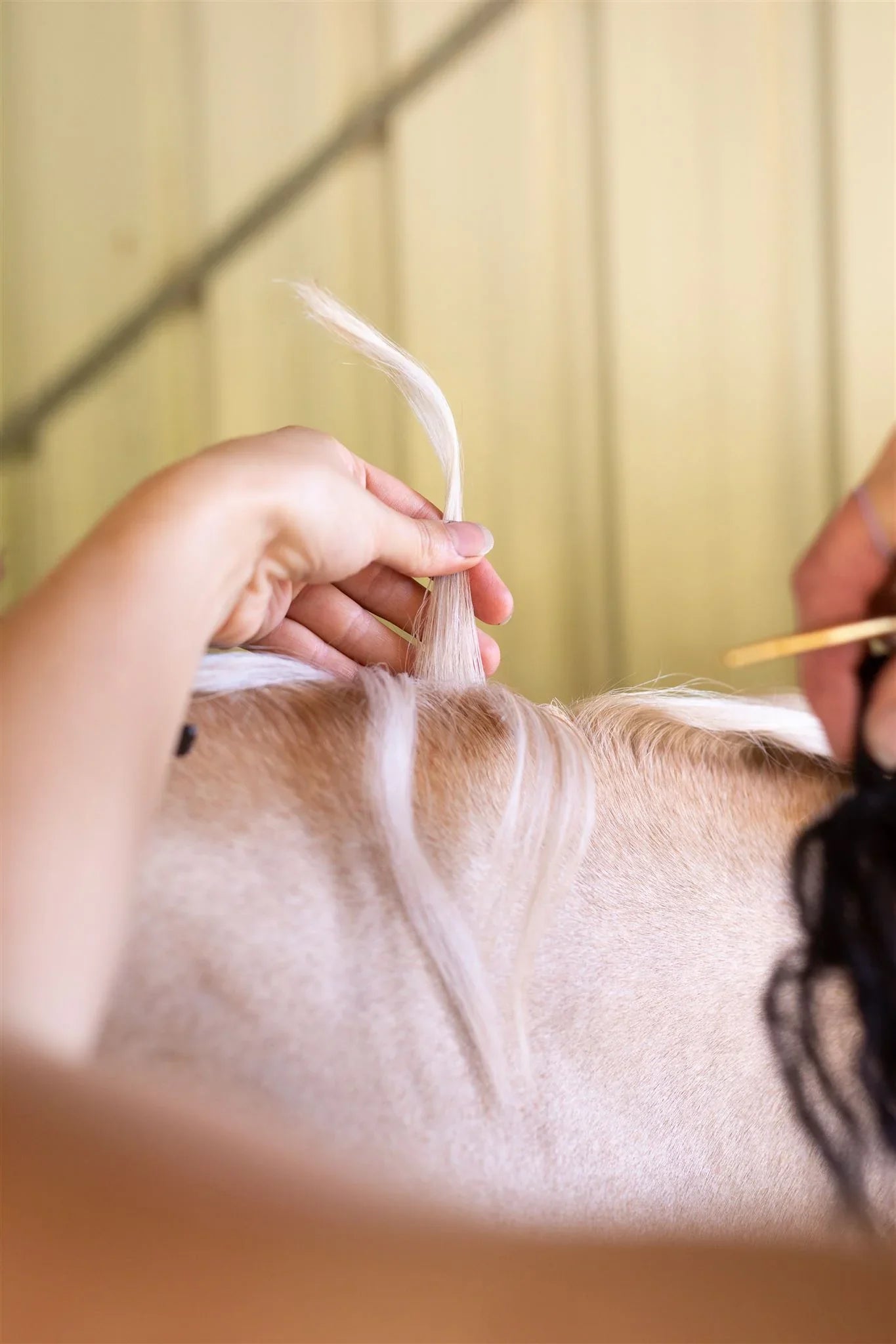 Hairy Pony Fake It Mane and Tail