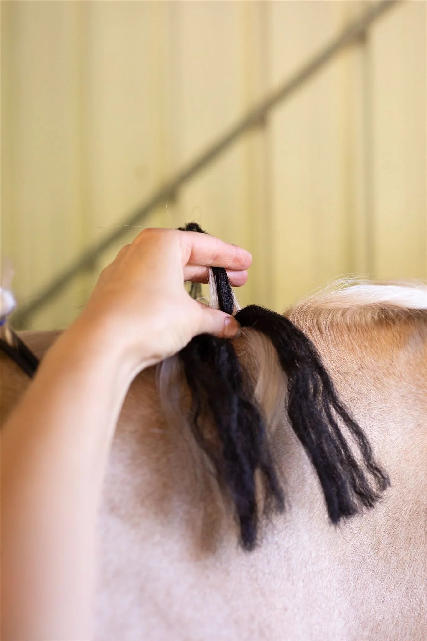 Hairy Pony Fake It Mane and Tail