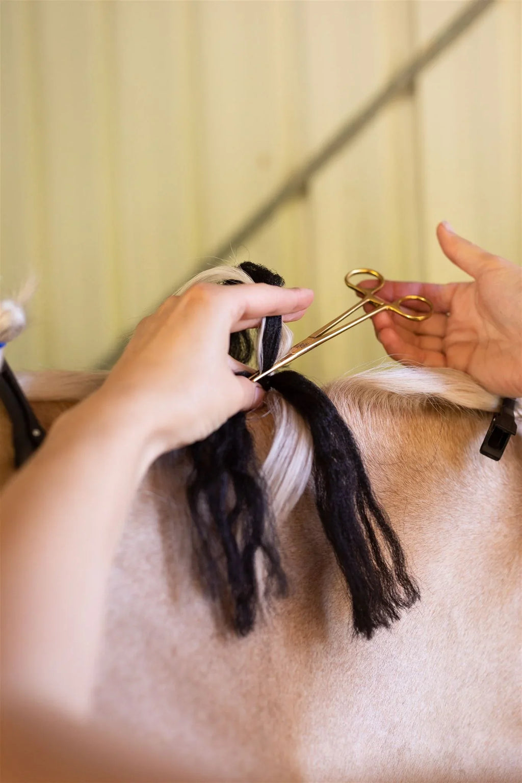 Hairy Pony Fake It Mane and Tail