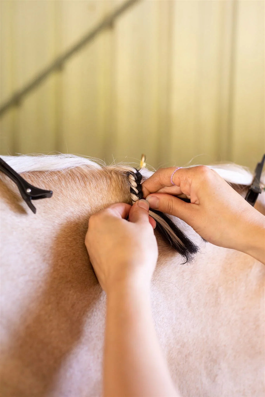 Hairy Pony Fake It Mane and Tail