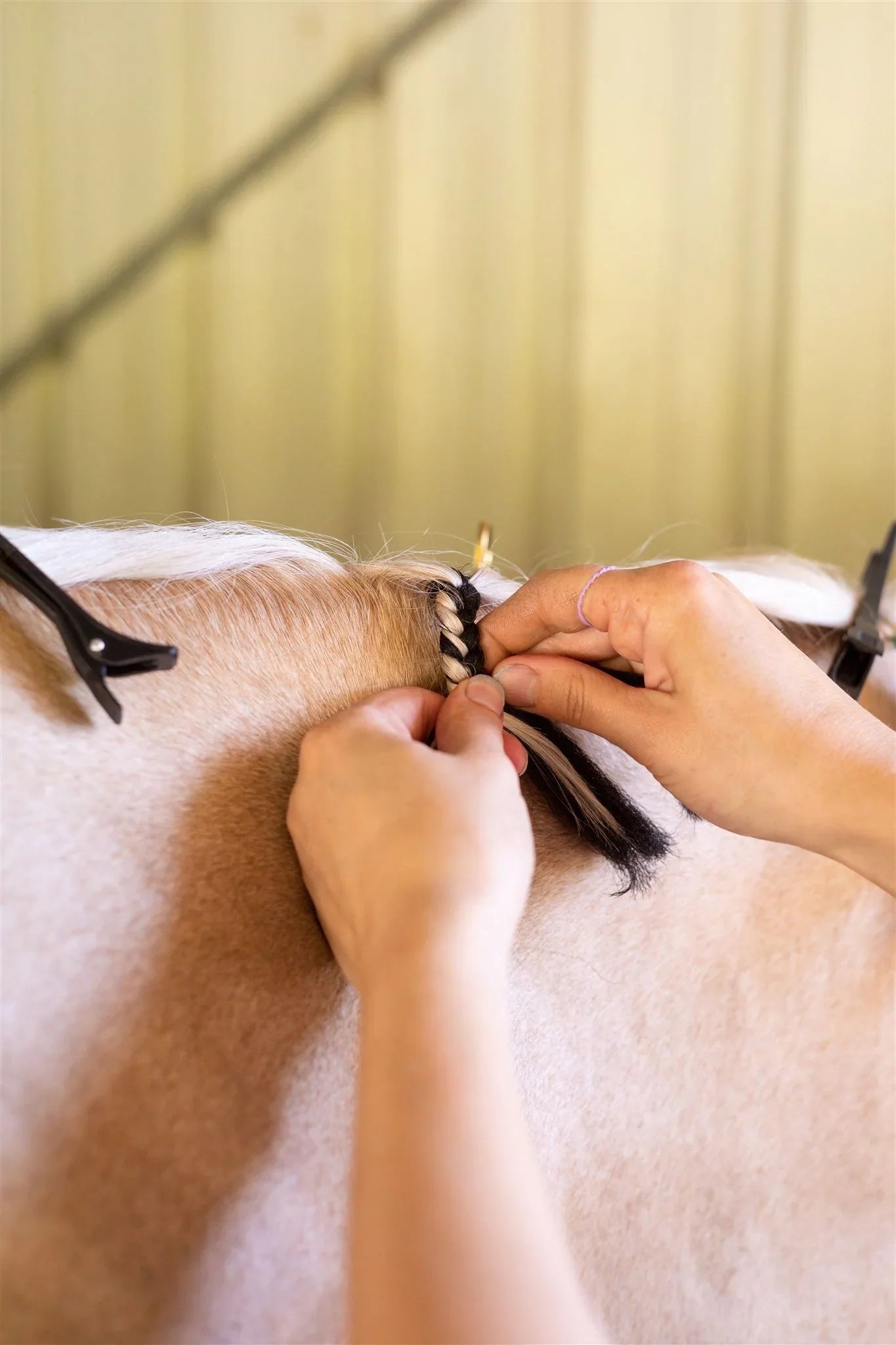 Hairy Pony Fake It Mane and Tail