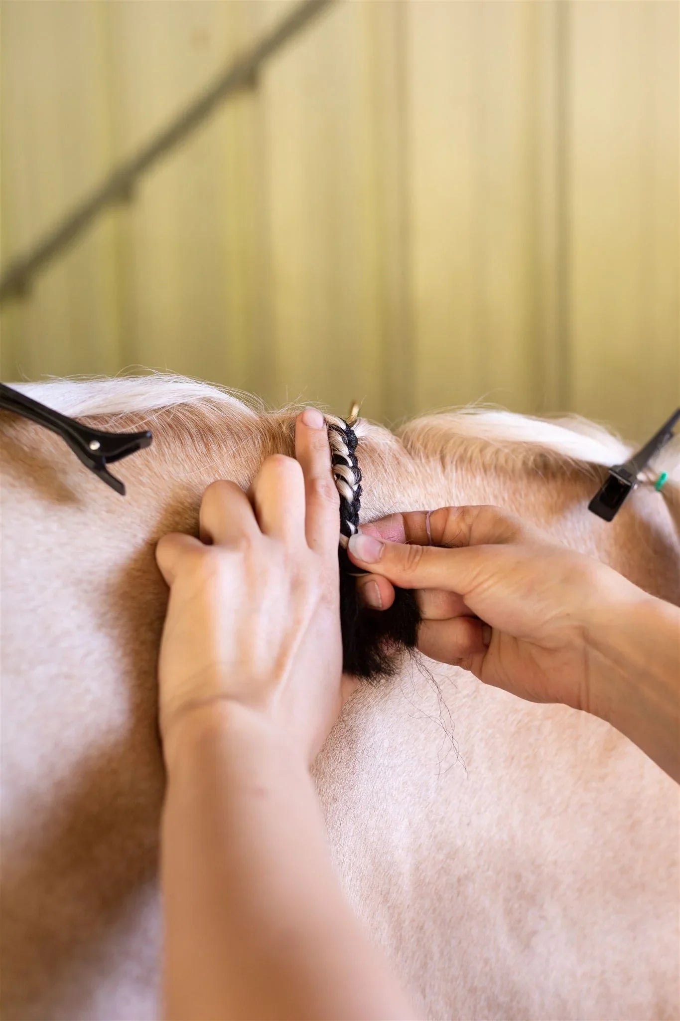 Hairy Pony Fake It Mane and Tail