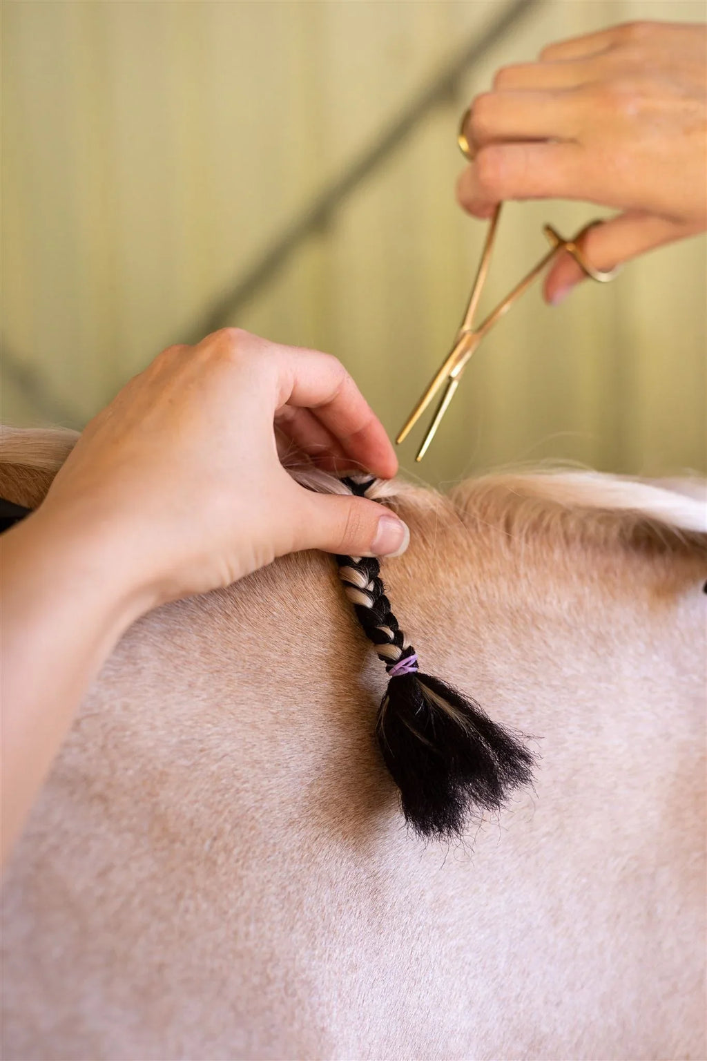 Hairy Pony Fake It Mane and Tail