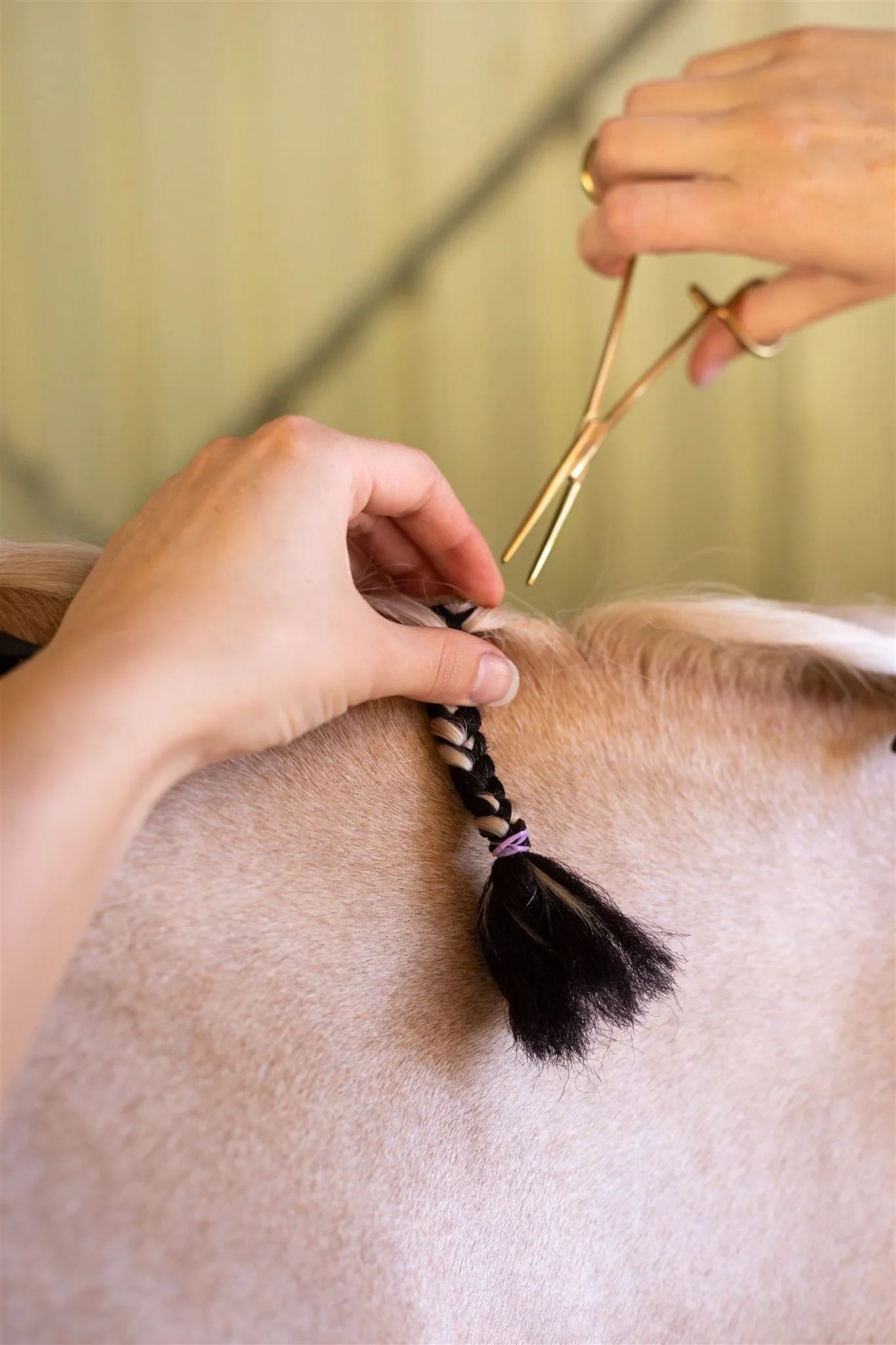 Hairy Pony Fake It Mane and Tail