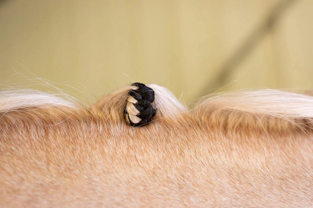 Hairy Pony Fake It Mane and Tail