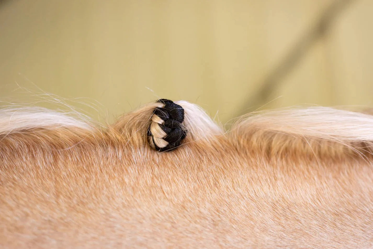 Hairy Pony Fake It Mane and Tail