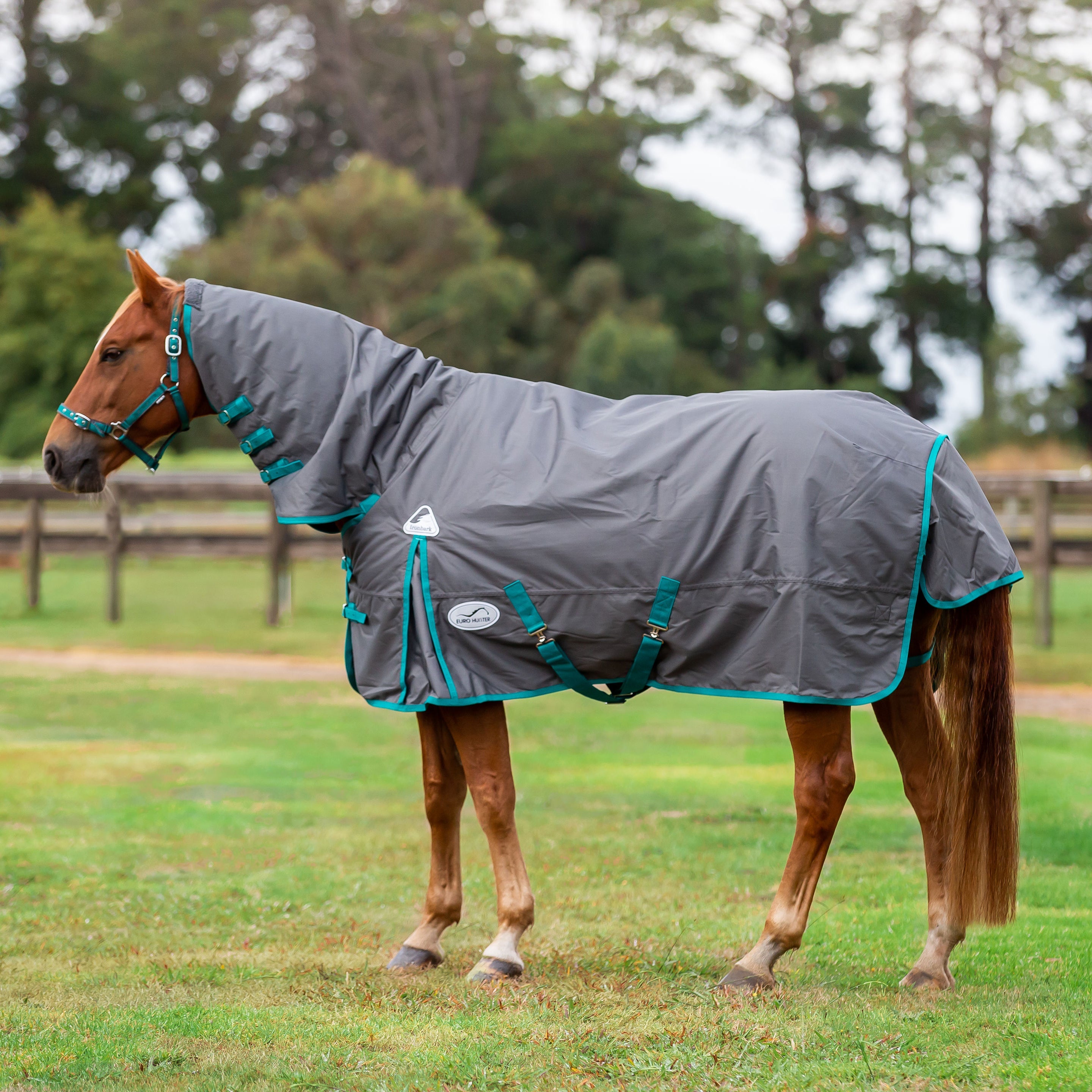 Eurohunter Ironbark Combo