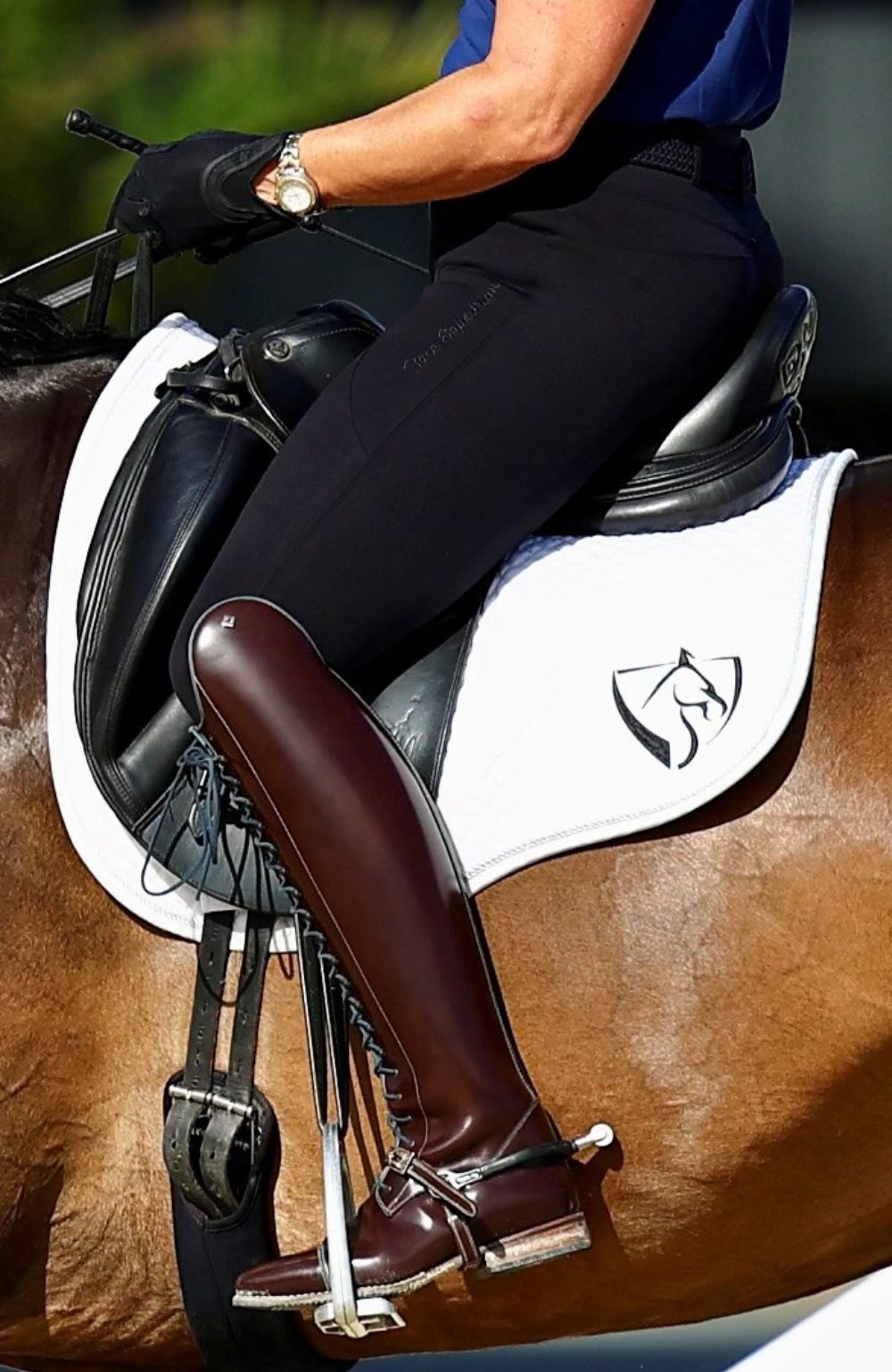 BARE Flex Form Sculpting Riding Tights - Black