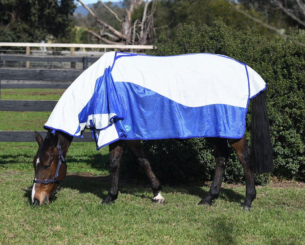 Eurohunter Airflow Combo