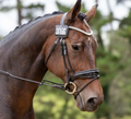 Belle Equestrian Regent Browband Brown Full