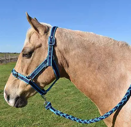 Eurohunter EMB Comfort Halter & Lead