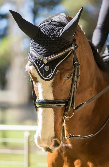 BARE Pro Ears Ear Bonnet - Black