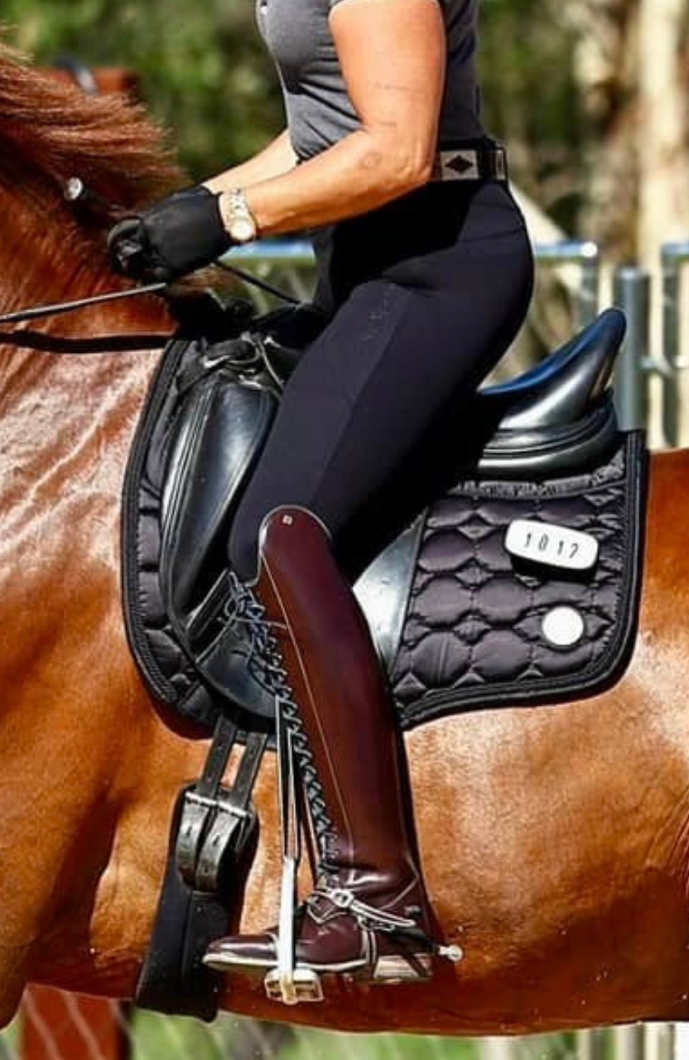 BARE Flex Form Sculpting Riding Tights - Black