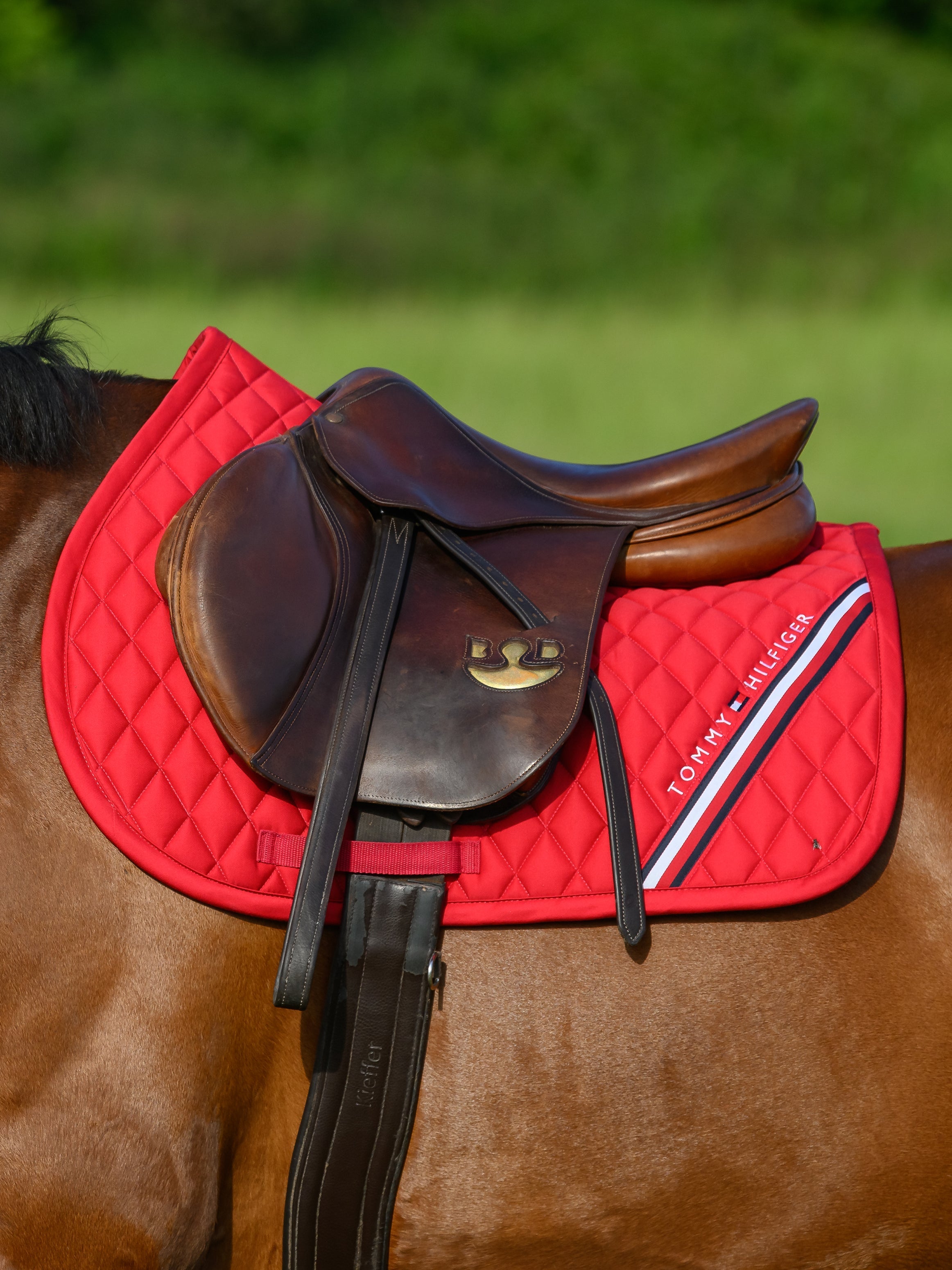Tommy Hilfiger Jumping Saddlepad