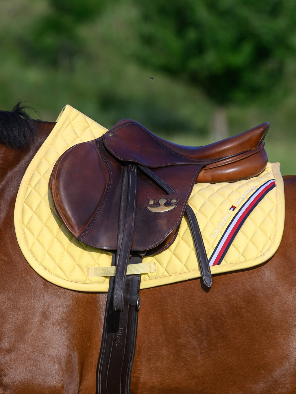 Tommy Hilfiger Jumping Saddlepad