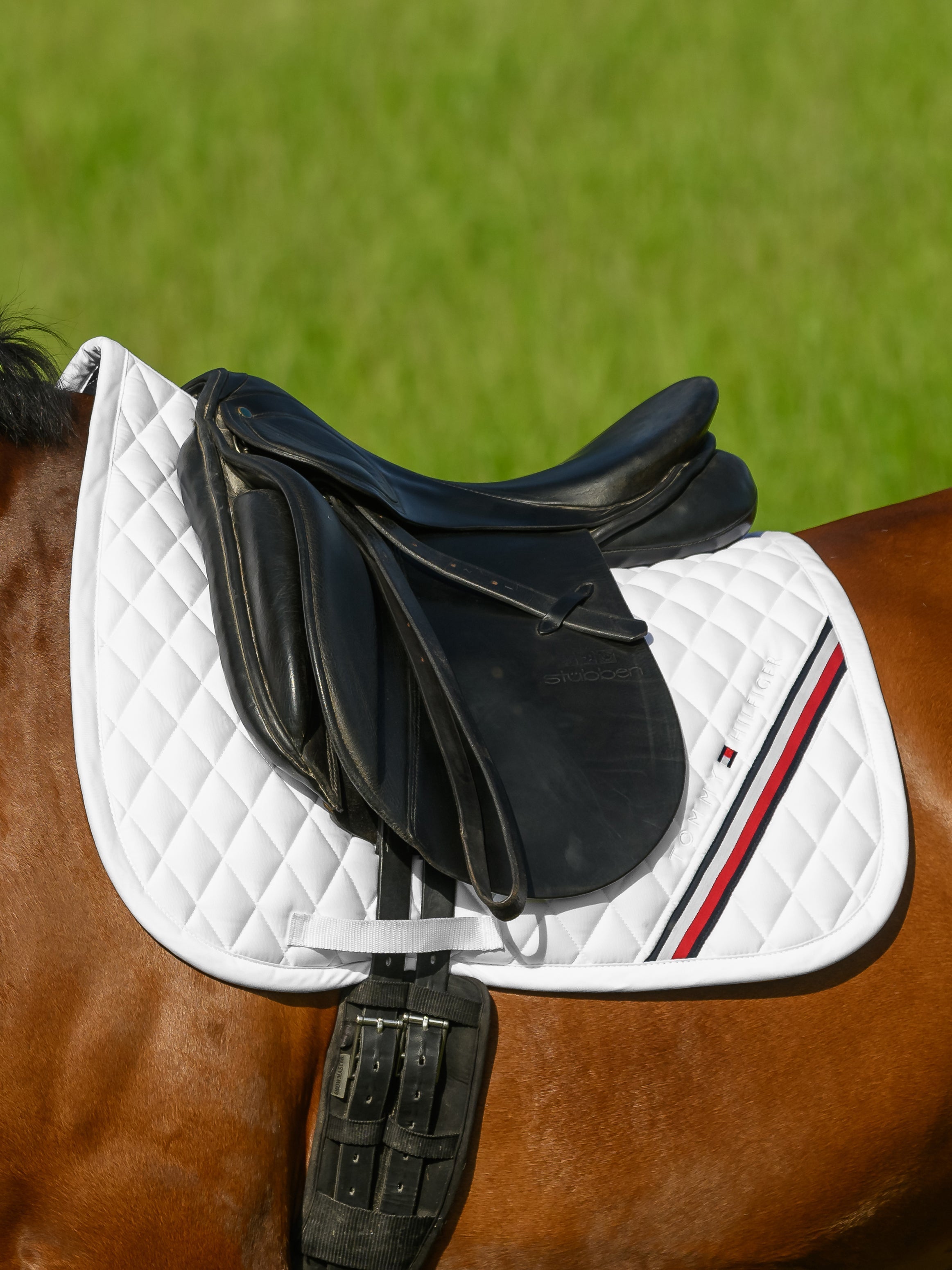 Tommy Hilfiger Dressage Saddlepad