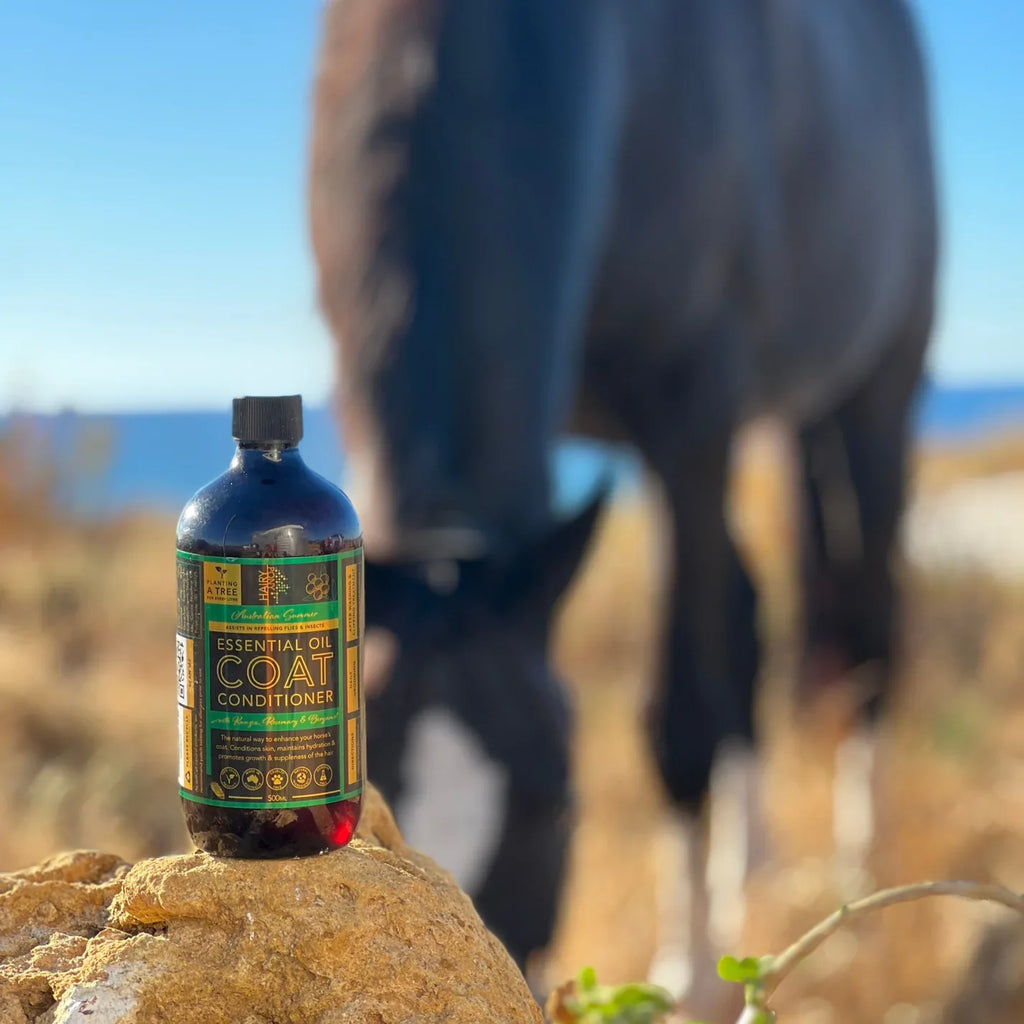 Hairy Pony Essential Oil Coat Conditioner