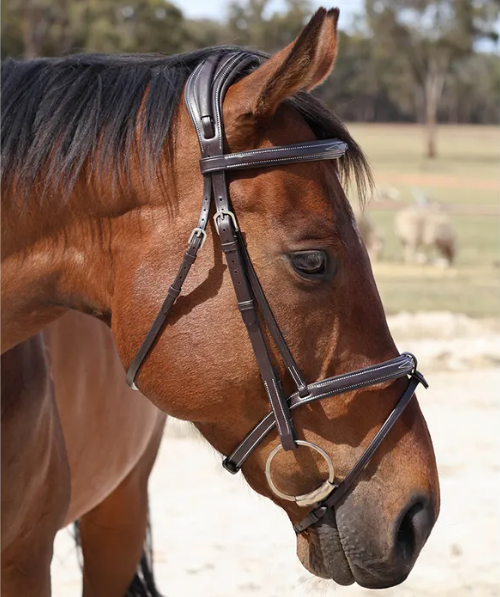 Grainge Fancy Raised & Padded Bridle