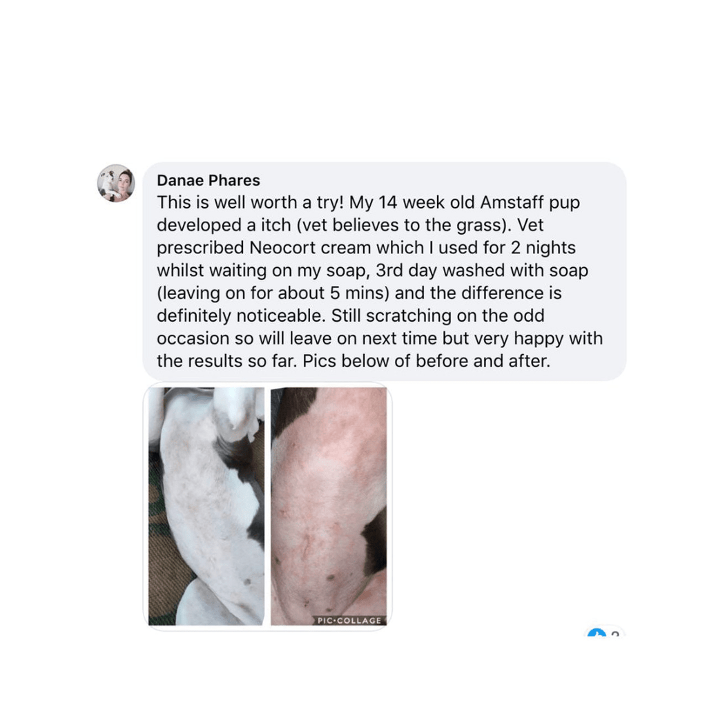 SOA + Skin Solutions Deep Cleaning Soap