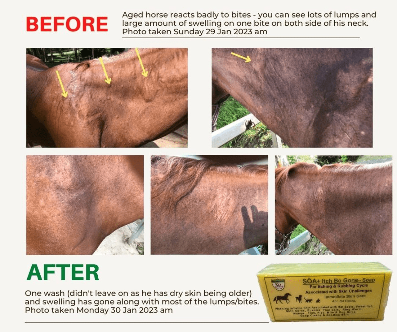 SOA + Skin Solutions Deep Cleaning Soap